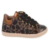 sneakers bruin
