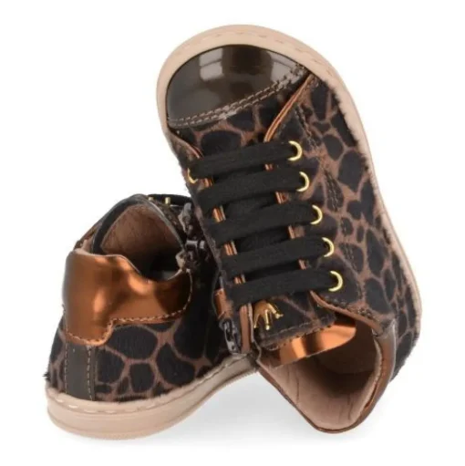 sneakers bruin