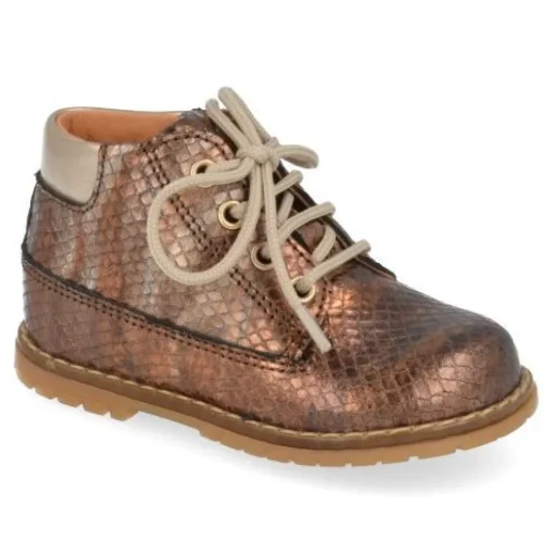 veterboot brons
