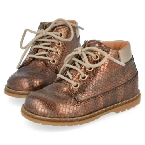 veterboot brons