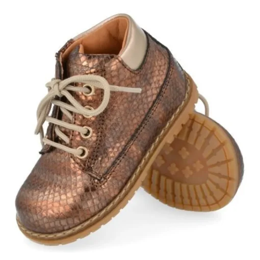 veterboot brons