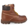 veterboot bruin