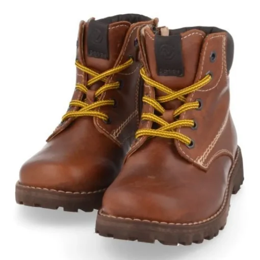 veterboot bruin