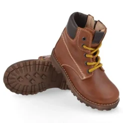 veterboot bruin